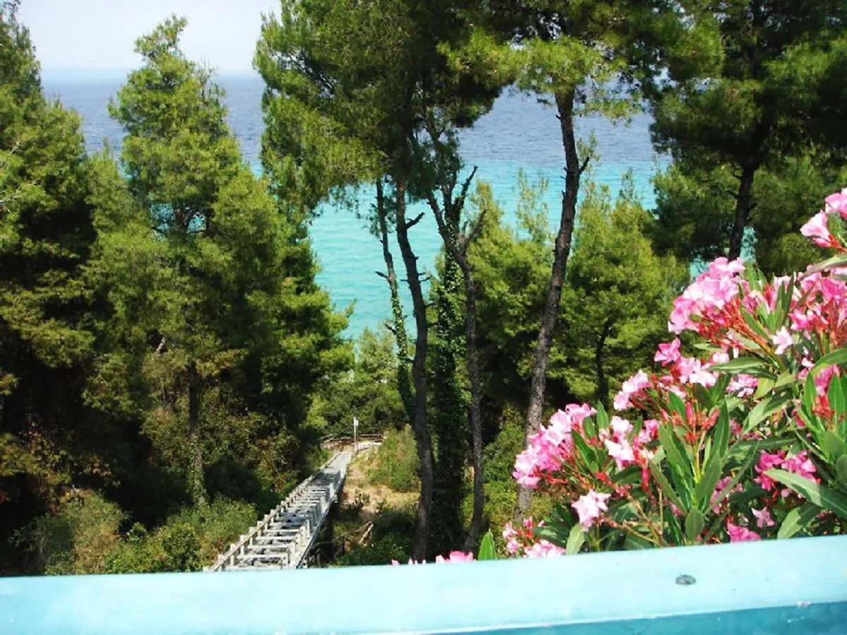 Porto Thea Alexandra Shared Pool Villa, Afytos